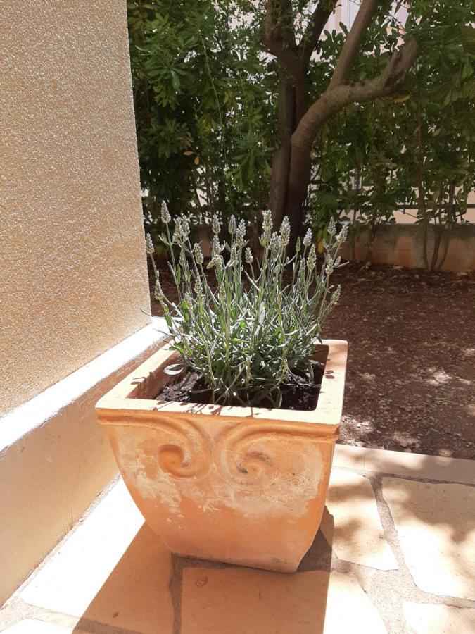 Kuca Za Odmor Lavanda Poljica  المظهر الخارجي الصورة